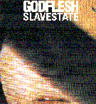 [Slavestate.gif]